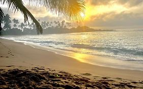 Coconut Palm Beach Restaurant And Rooms